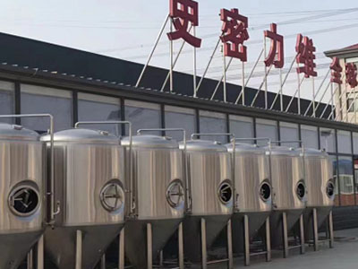 兖州精酿啤酒设备厂—如何判断精酿啤酒设备的密封件需要更换?